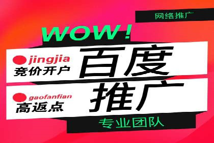 互联网公司SEM代运营成功案例剖析